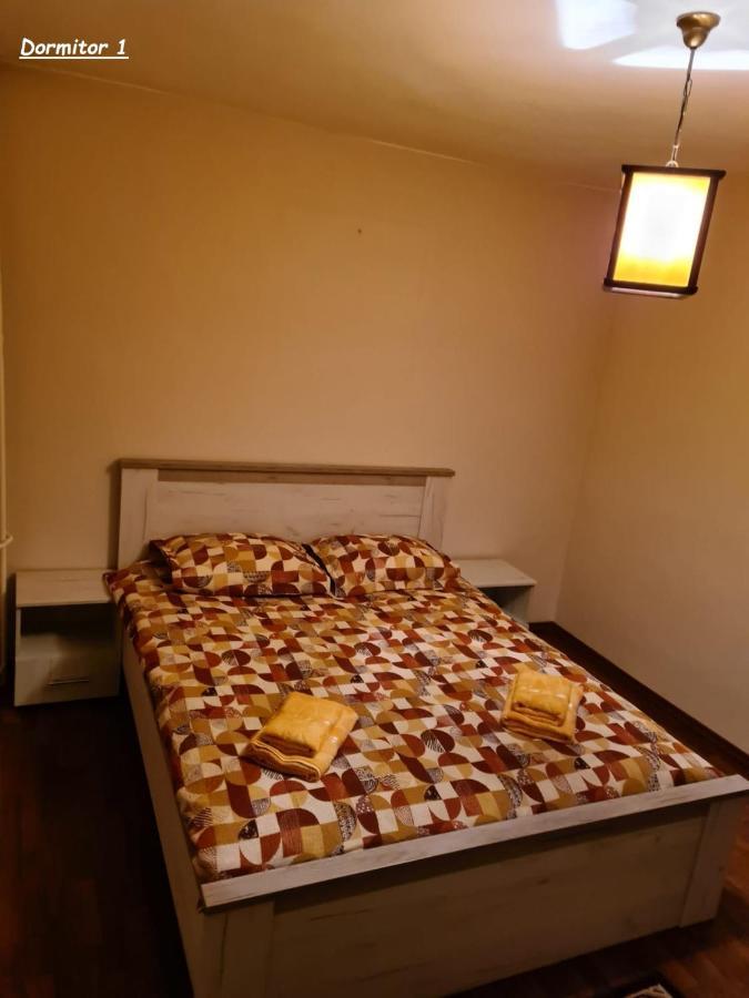 Ferienwohnung La Mircica Ap 1 Călimăneşti Exterior foto